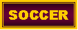 Text Box: SOCCER