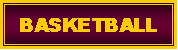 Text Box: BASKETBALL