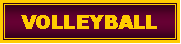 Text Box: VOLLEYBALL